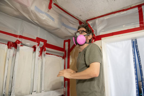 Trusted Rincon, GA Mold Removal Experts