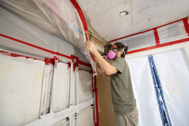 Best Post-Construction Mold Inspection  in Rincon, GA