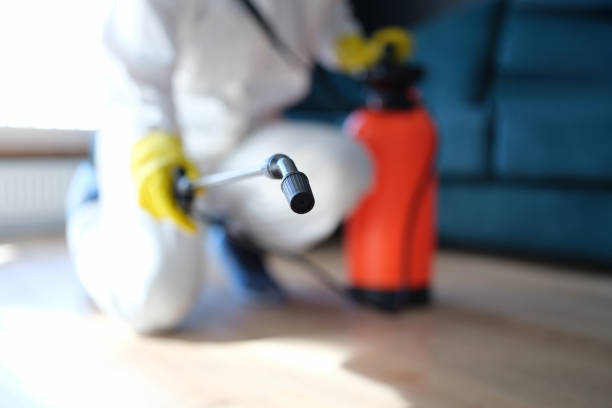 Best Asbestos and Lead Testing During Mold Inspection  in Rincon, GA