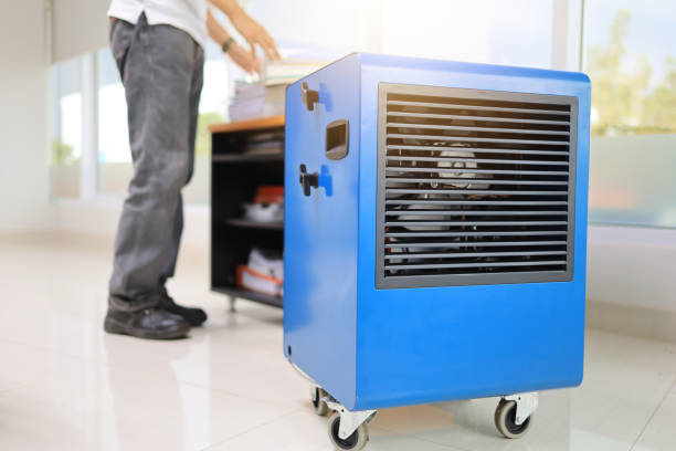 Best Mold Remediation for Healthcare Facilities  in Rincon, GA