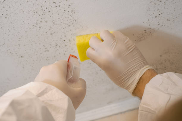 Best Air Quality Testing for Mold Spores  in Rincon, GA