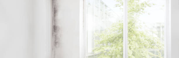 Best Dehumidification Services  in Rincon, GA