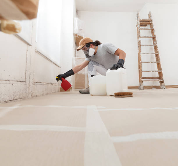 Best Water Damage & Mold Remediation  in Rincon, GA